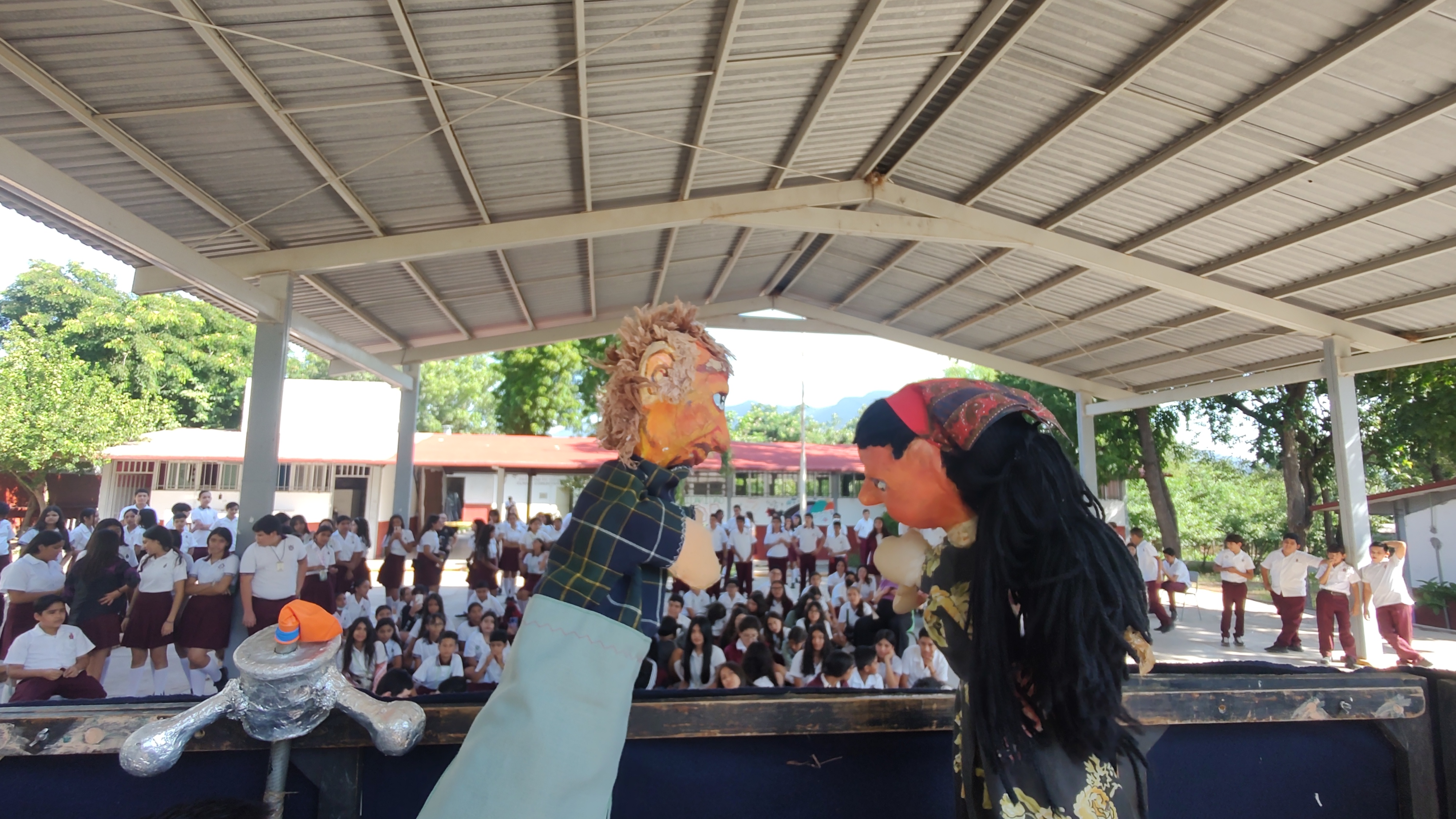 suma sociedad unida iap