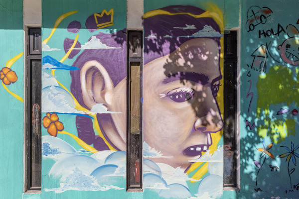 mural discapacidad cernas